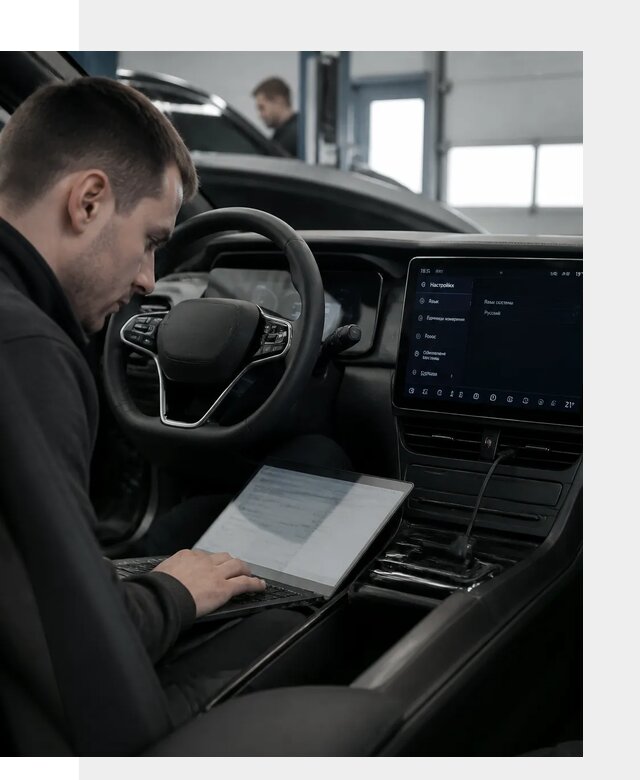 Русификация автомобилей BYD под ключ для всех моделей в Новомосковске