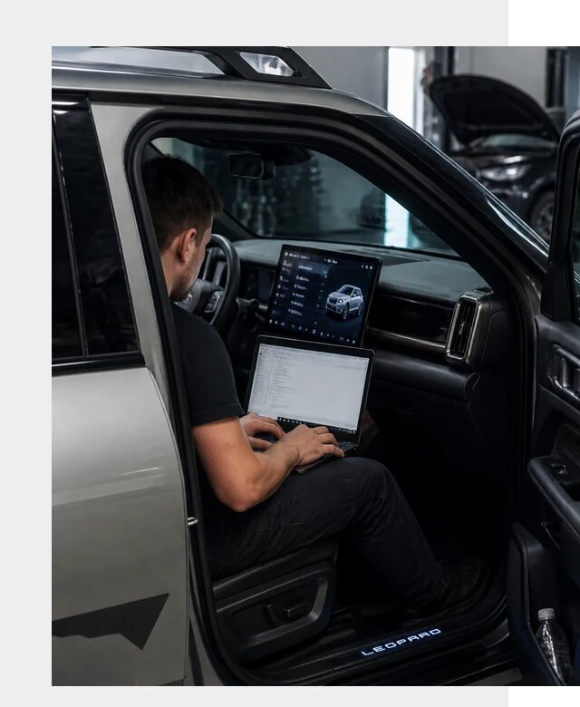Русификация BYD Leopard 3 в Новомосковске по цене от 20547 р. | ФастМобиль-Нвм